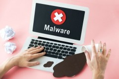 How to Protect Your Website from Malware and Viruses